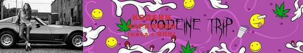 мяу мяу мука Болотное