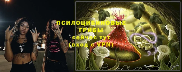 мяу мяу мука Болотное