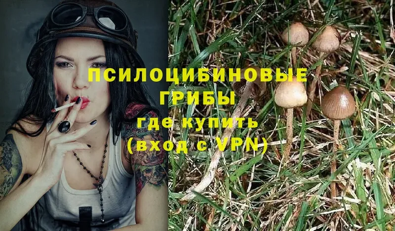 Галлюциногенные грибы Magic Shrooms  Кирс 